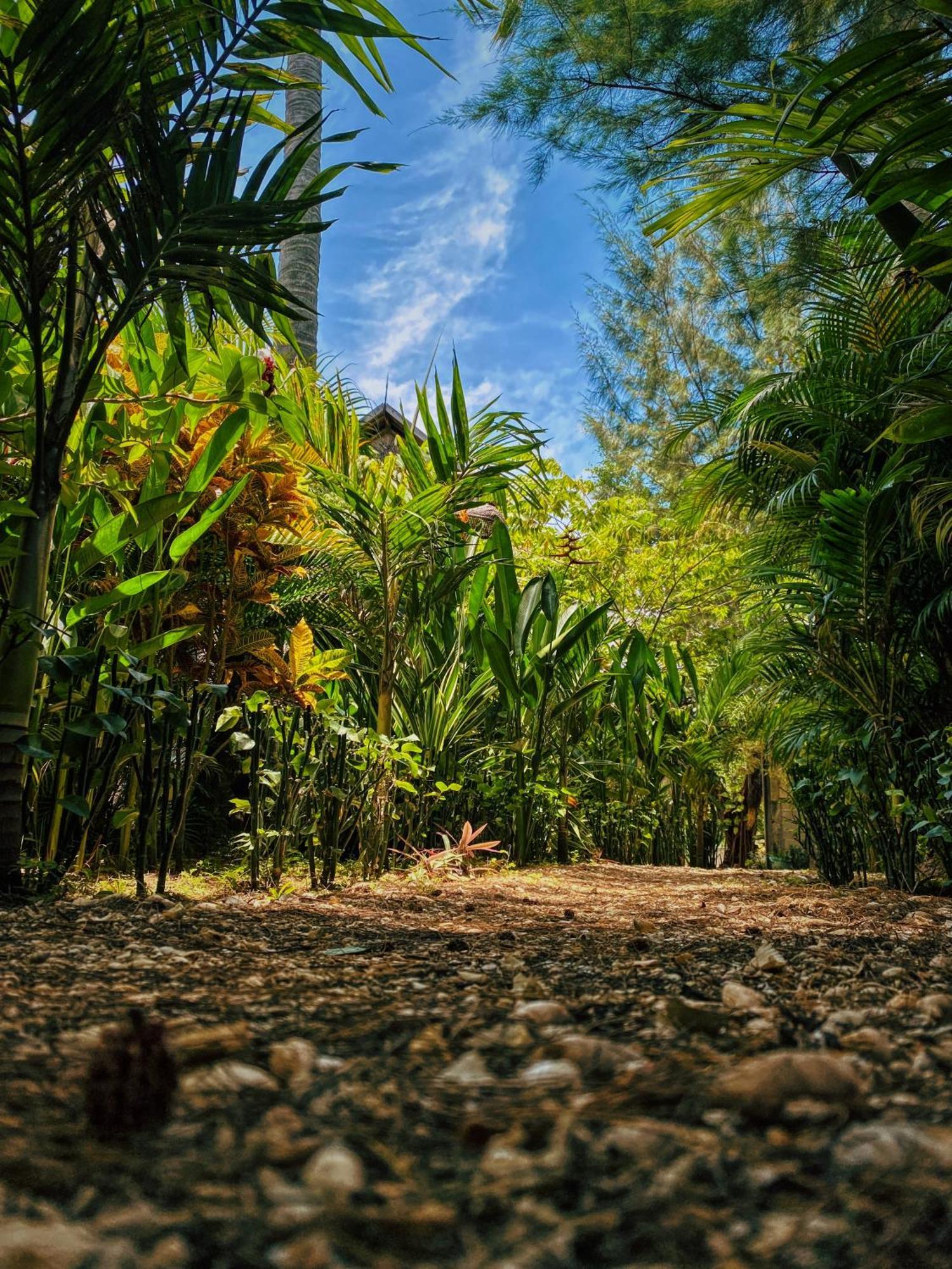 Basa-Basi Lodge Karimunjawa Exterior foto